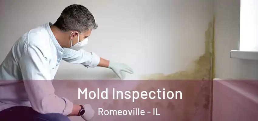  Mold Inspection Romeoville - IL