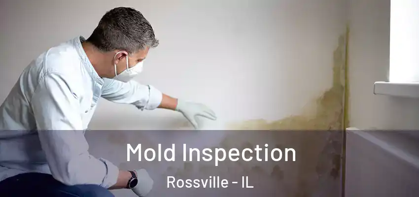 Mold Inspection Rossville - IL