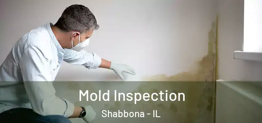  Mold Inspection Shabbona - IL