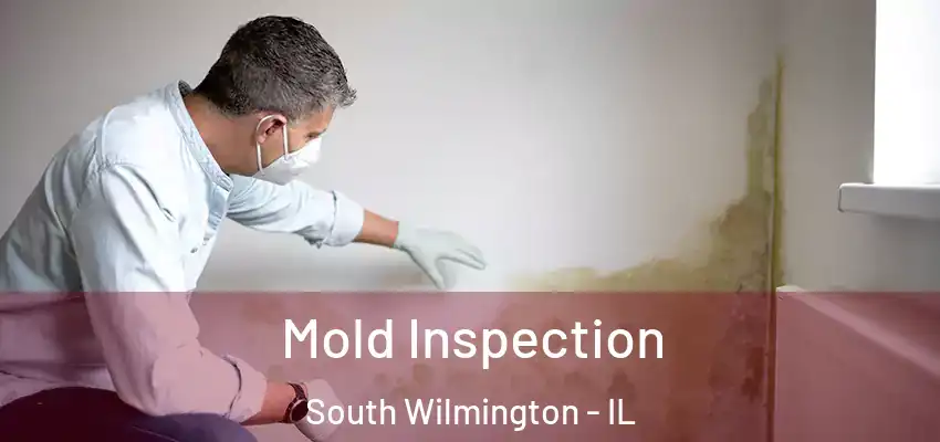 Mold Inspection South Wilmington - IL