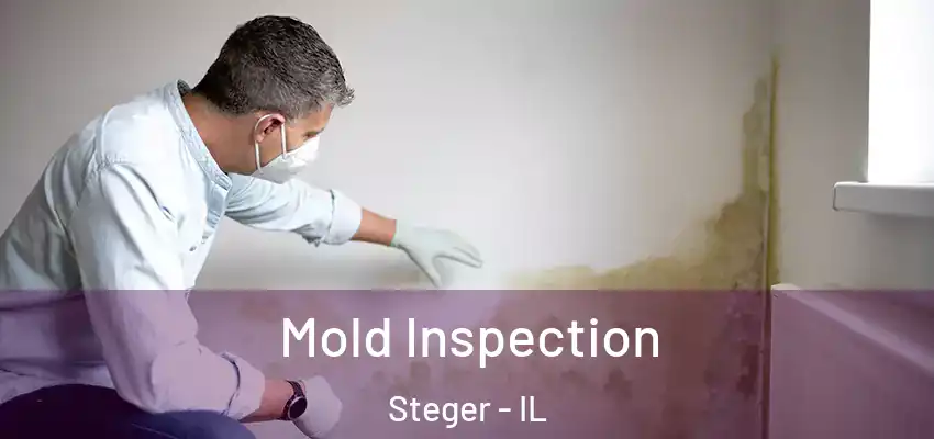 Mold Inspection Steger - IL