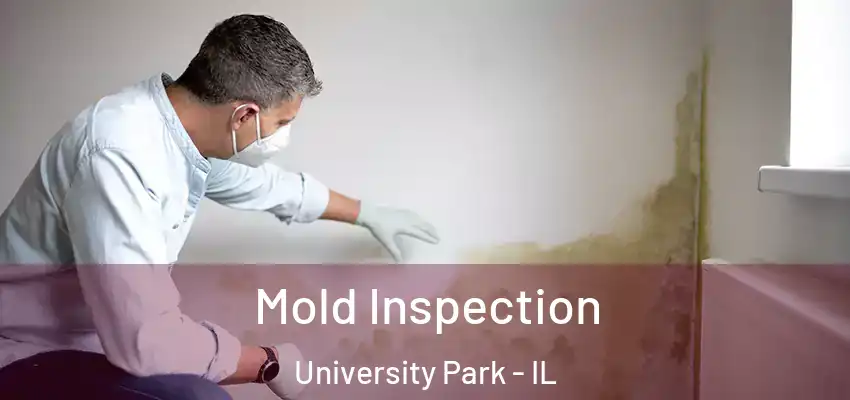 Mold Inspection University Park - IL