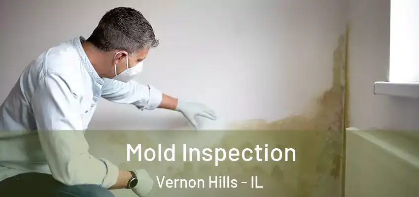 Mold Inspection Vernon Hills - IL