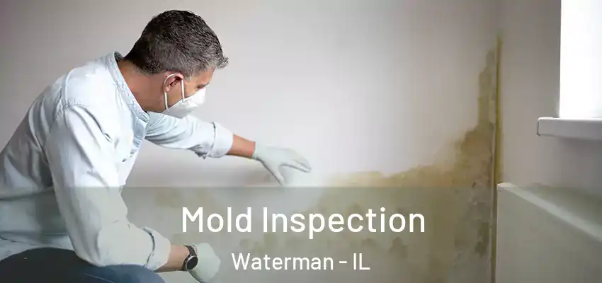  Mold Inspection Waterman - IL