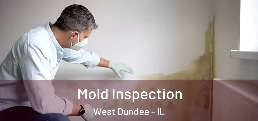  Mold Inspection West Dundee - IL