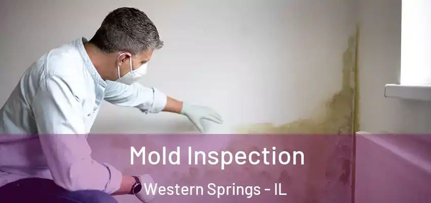 Mold Inspection Western Springs - IL