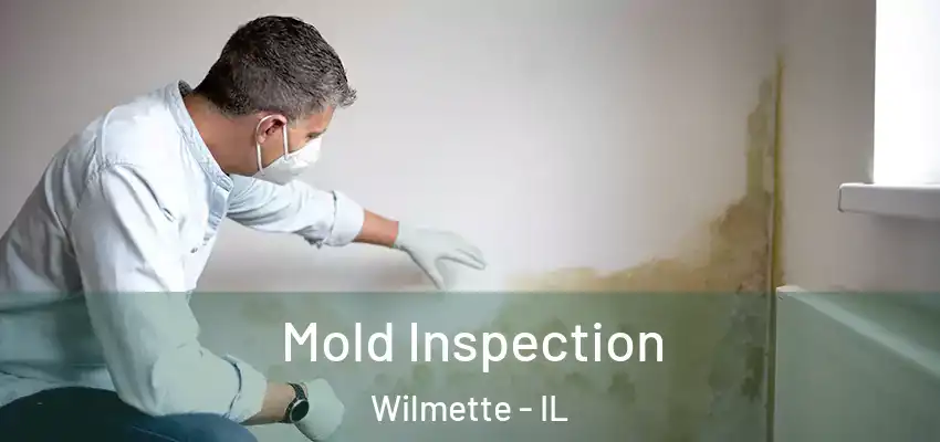  Mold Inspection Wilmette - IL