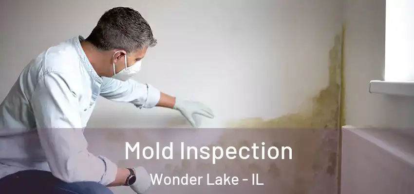  Mold Inspection Wonder Lake - IL