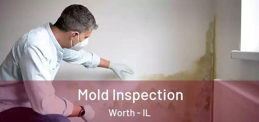 Mold Inspection Worth - IL