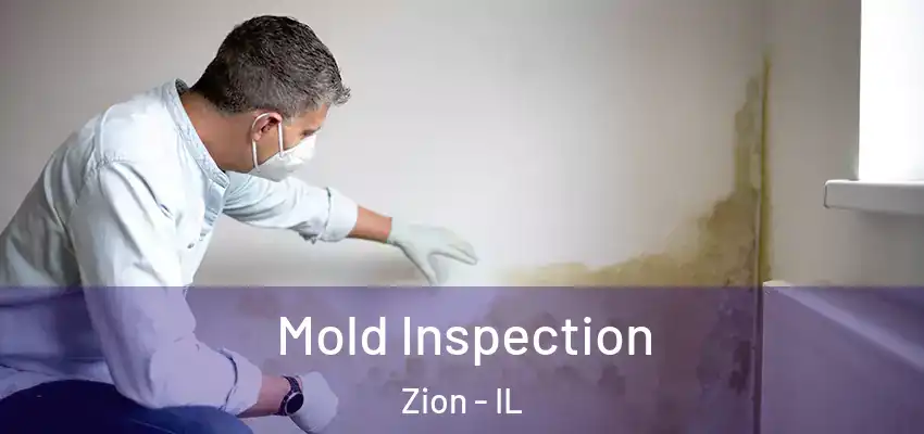 Mold Inspection Zion - IL