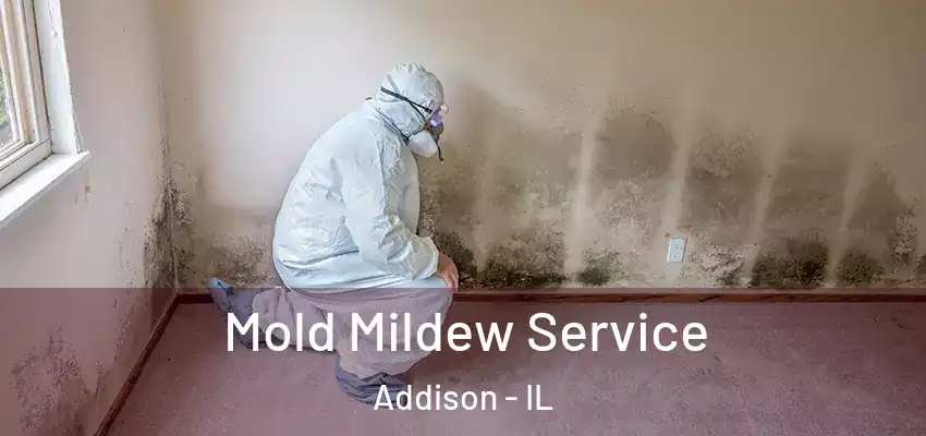 Mold Mildew Service Addison - IL