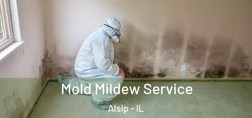  Mold Mildew Service Alsip - IL