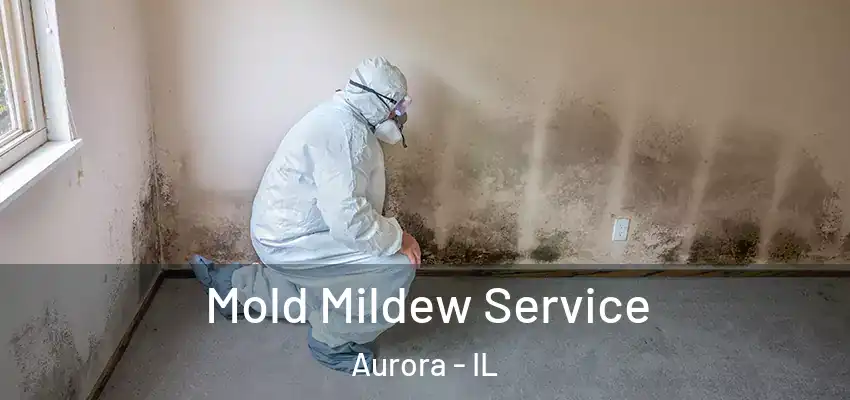 Mold Mildew Service Aurora - IL