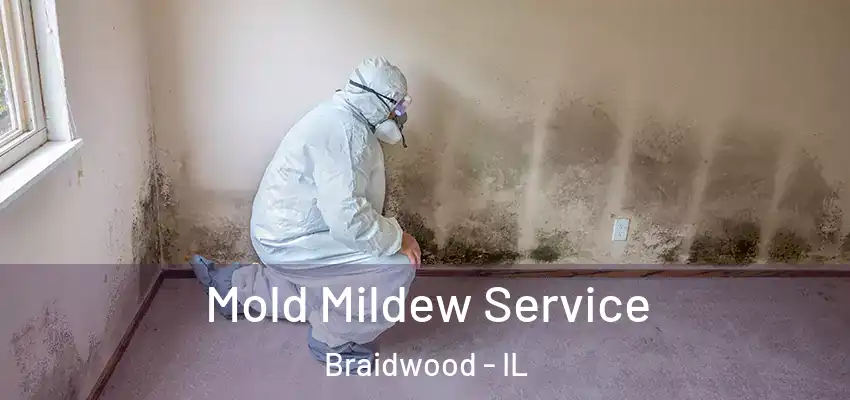 Mold Mildew Service Braidwood - IL
