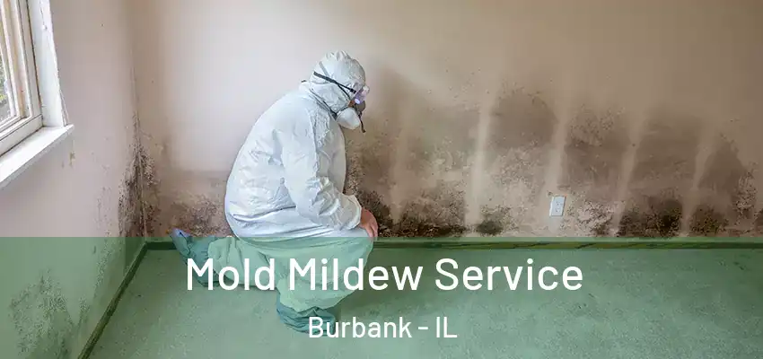 Mold Mildew Service Burbank - IL