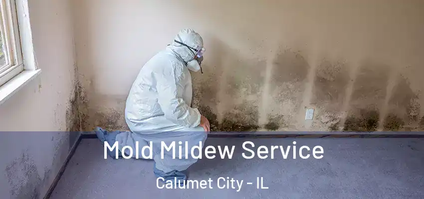 Mold Mildew Service Calumet City - IL