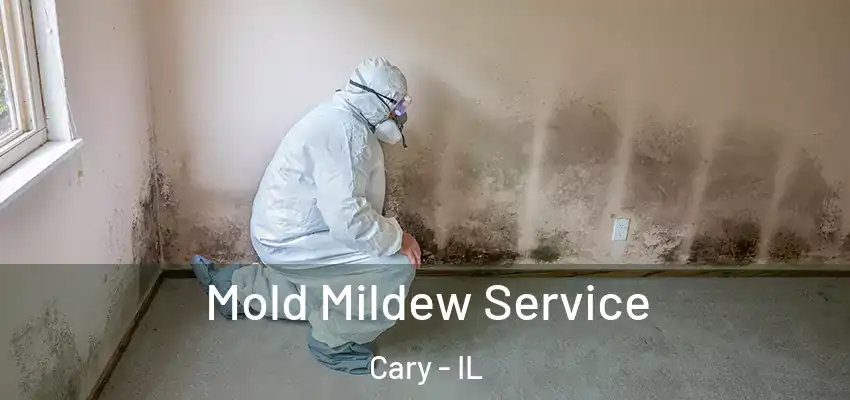  Mold Mildew Service Cary - IL