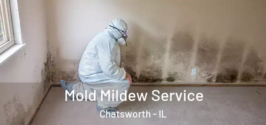  Mold Mildew Service Chatsworth - IL