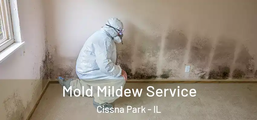  Mold Mildew Service Cissna Park - IL