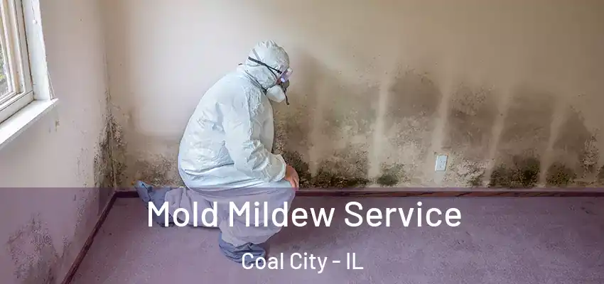  Mold Mildew Service Coal City - IL