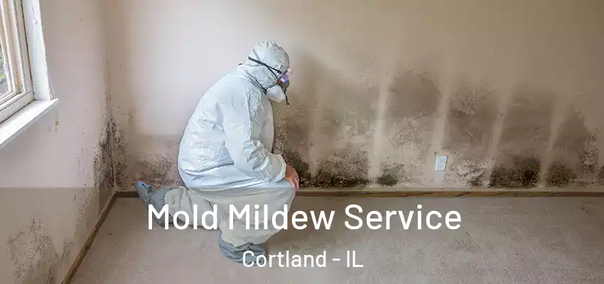 Mold Mildew Service Cortland - IL