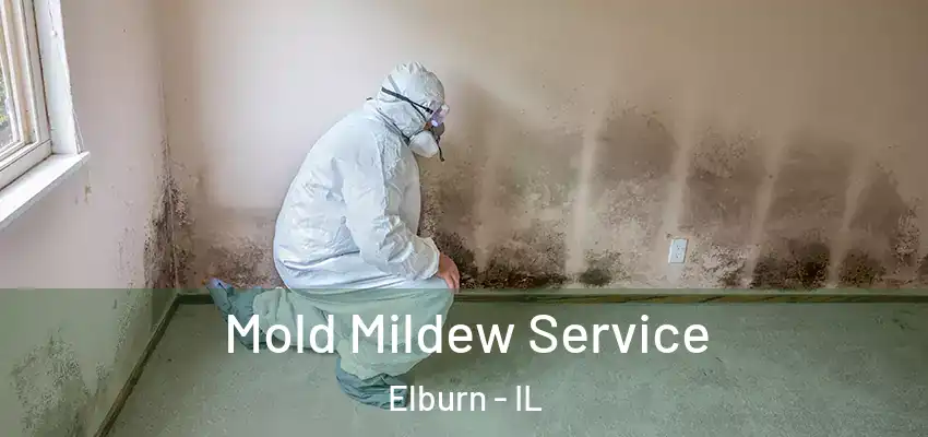 Mold Mildew Service Elburn - IL