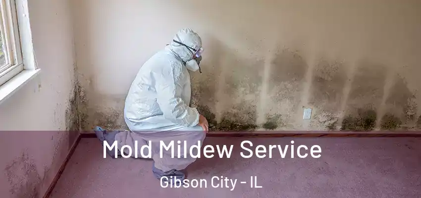 Mold Mildew Service Gibson City - IL