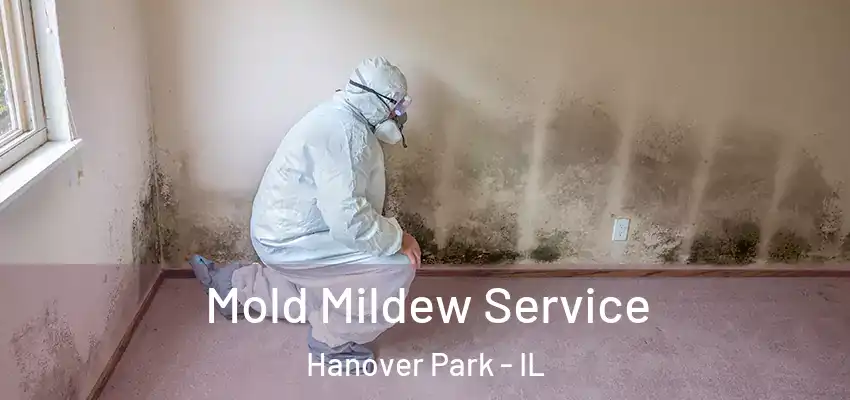 Mold Mildew Service Hanover Park - IL