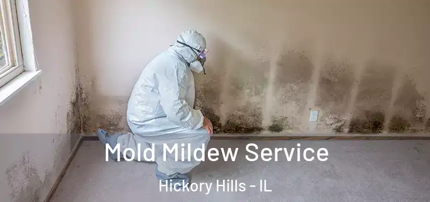 Mold Mildew Service Hickory Hills - IL