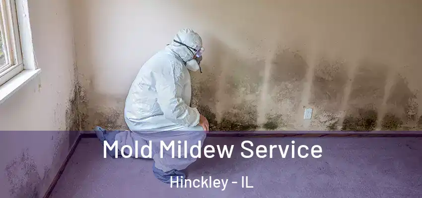Mold Mildew Service Hinckley - IL
