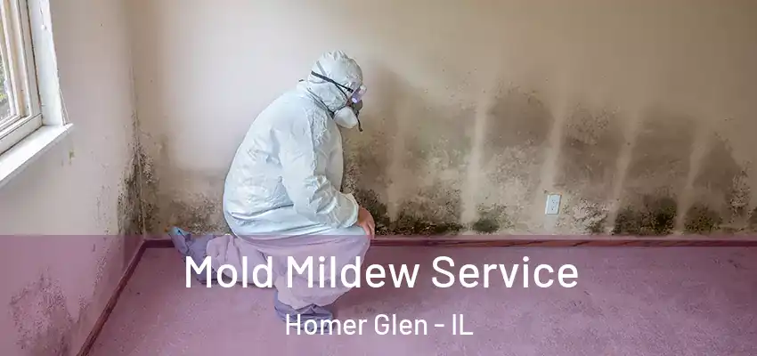 Mold Mildew Service Homer Glen - IL