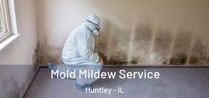 Mold Mildew Service Huntley - IL