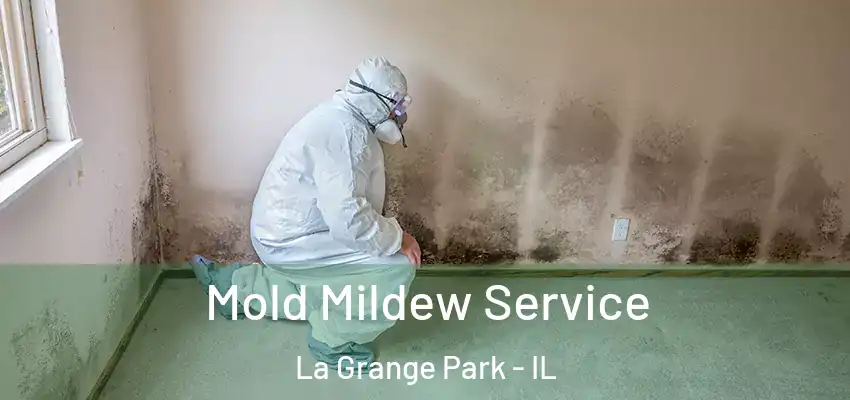 Mold Mildew Service La Grange Park - IL