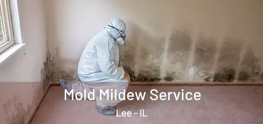 Mold Mildew Service Lee - IL