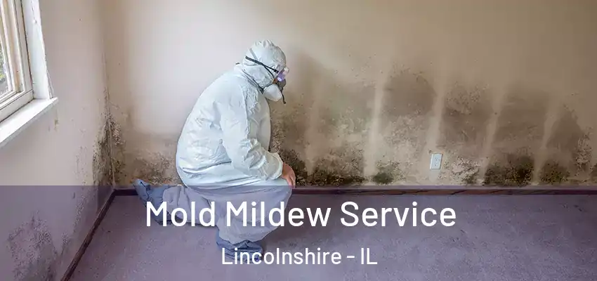  Mold Mildew Service Lincolnshire - IL