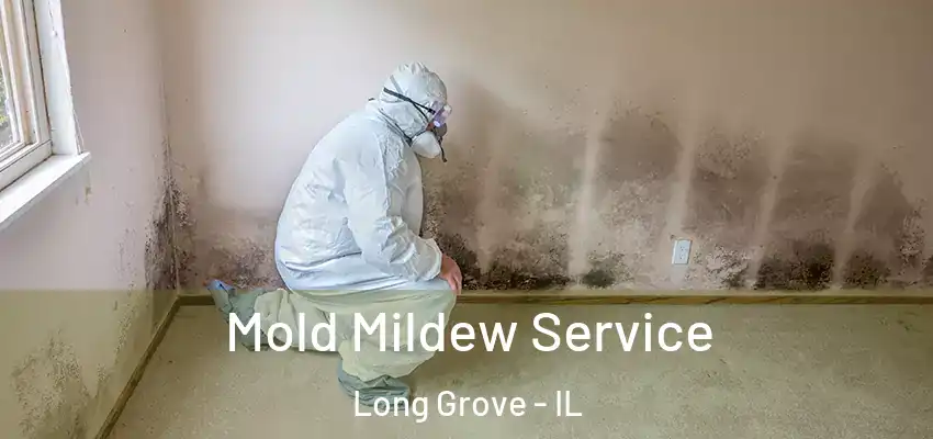 Mold Mildew Service Long Grove - IL
