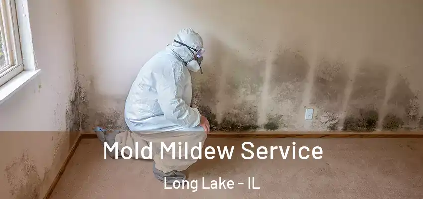 Mold Mildew Service Long Lake - IL