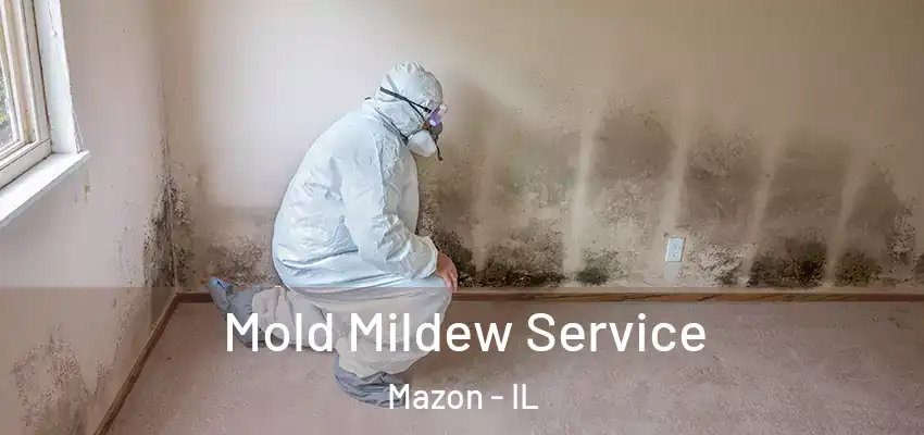  Mold Mildew Service Mazon - IL