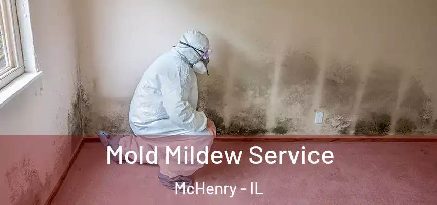  Mold Mildew Service McHenry - IL