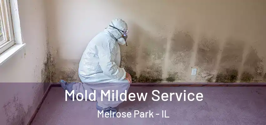 Mold Mildew Service Melrose Park - IL