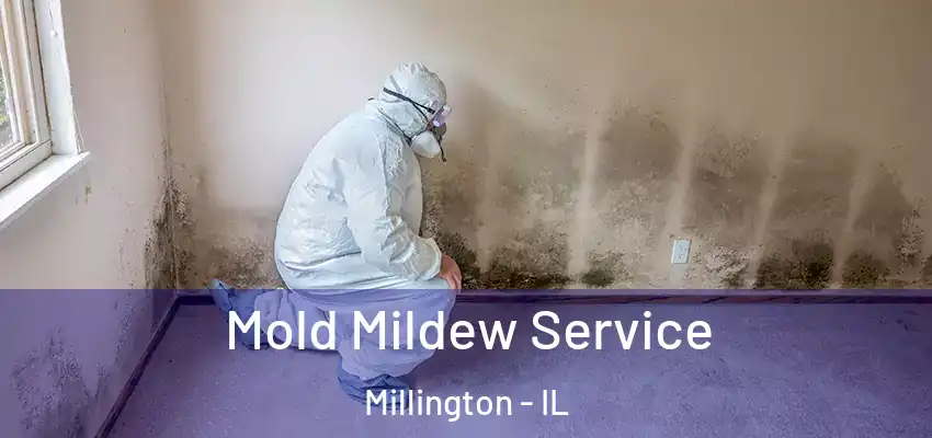 Mold Mildew Service Millington - IL