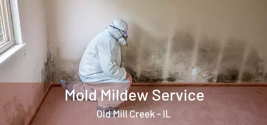 Mold Mildew Service Old Mill Creek - IL