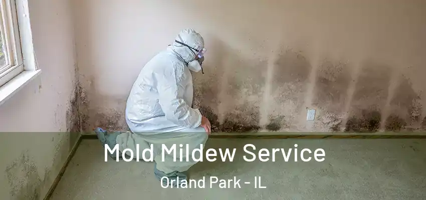 Mold Mildew Service Orland Park - IL