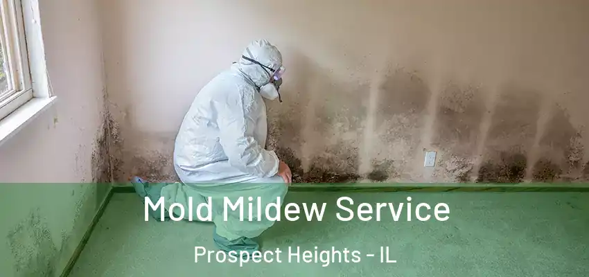 Mold Mildew Service Prospect Heights - IL