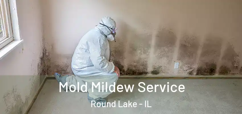 Mold Mildew Service Round Lake - IL