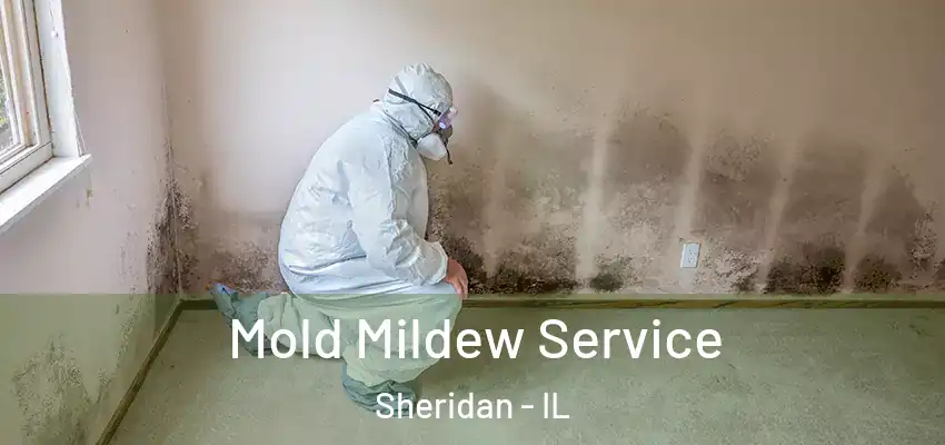  Mold Mildew Service Sheridan - IL