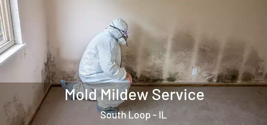  Mold Mildew Service South Loop - IL