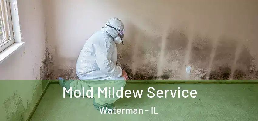 Mold Mildew Service Waterman - IL