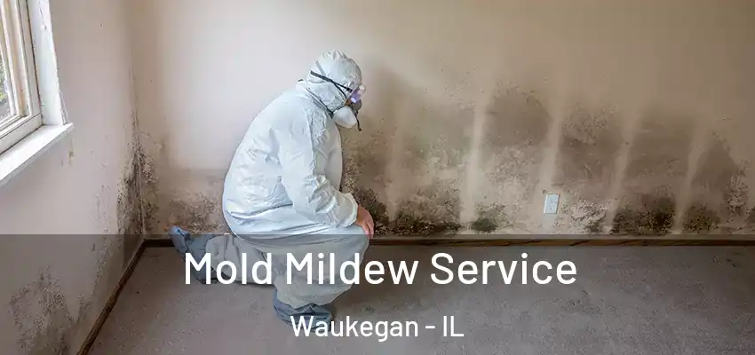 Mold Mildew Service Waukegan - IL