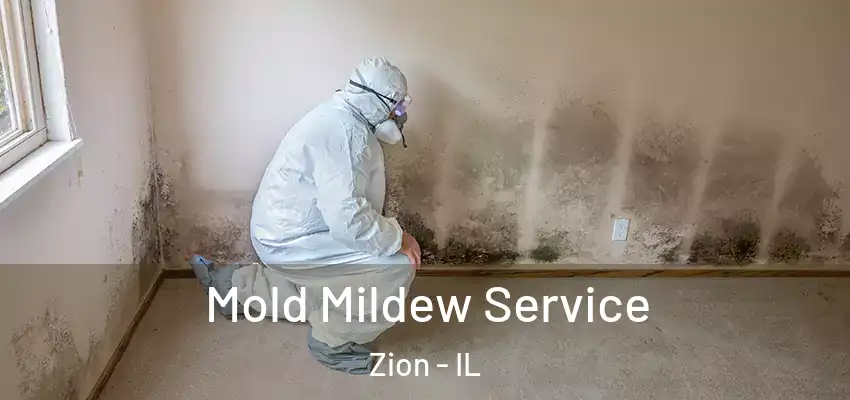 Mold Mildew Service Zion - IL